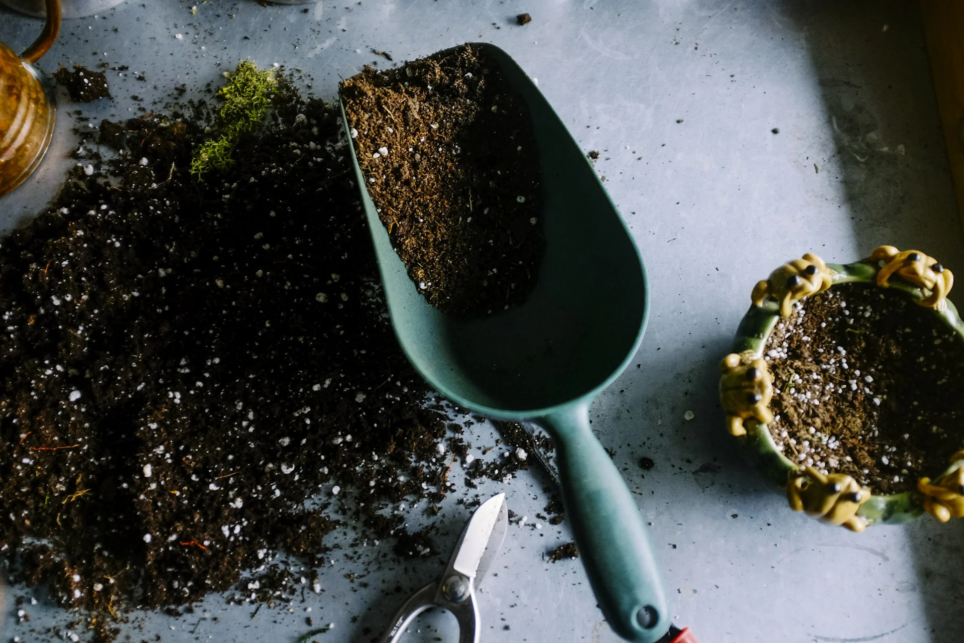 Self-Reliance & Homesteading