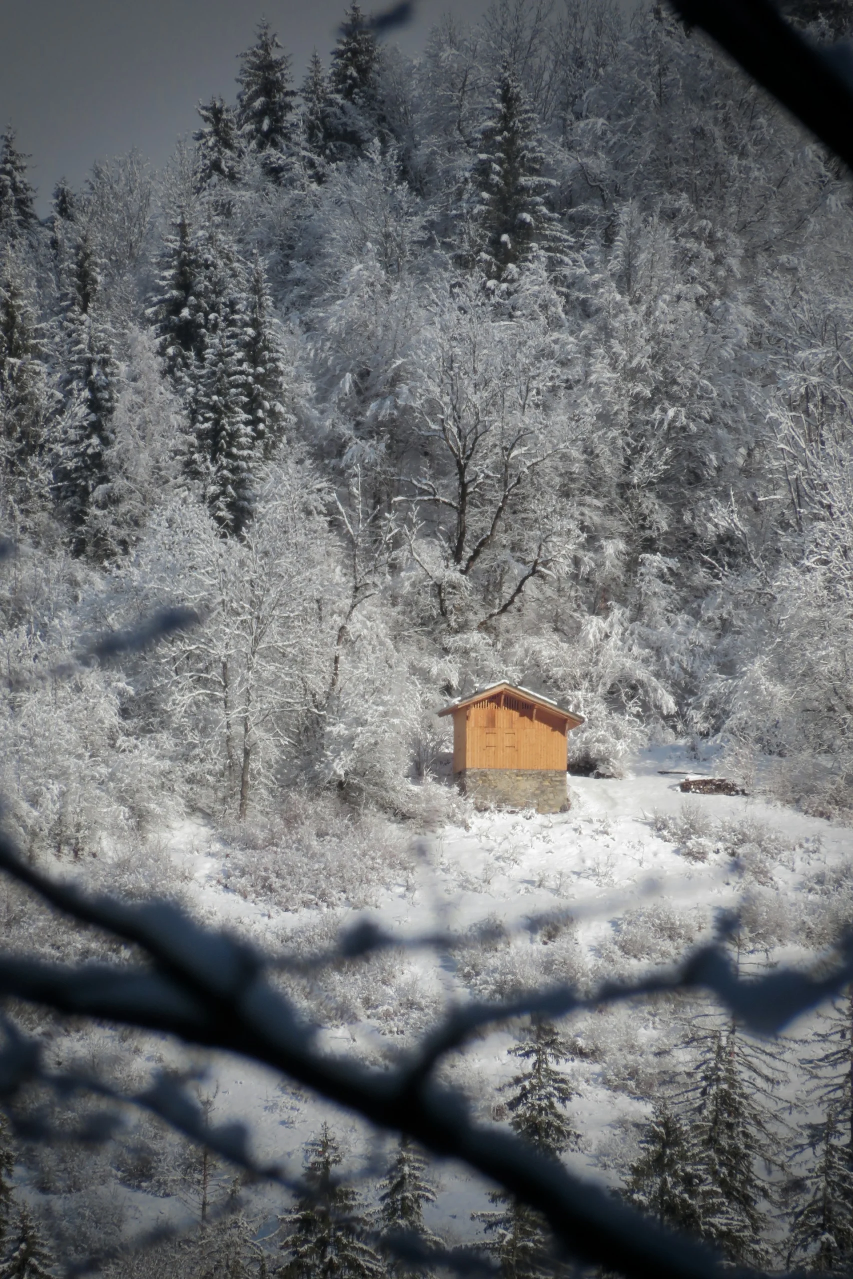 Off-Grid & Mobile Living