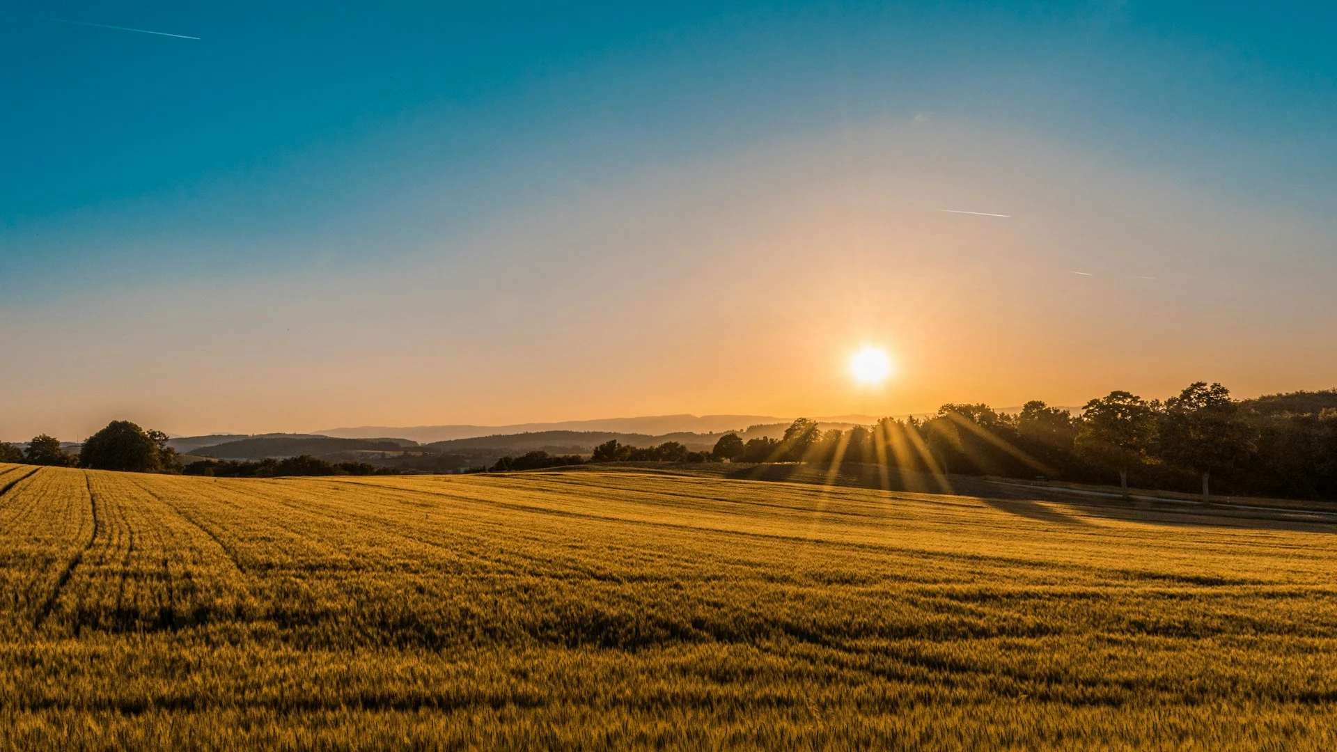 Land & Rural Property